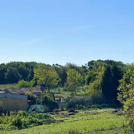 Welcoming House With Terrace And Garden In Barra De Mira Holiday home *