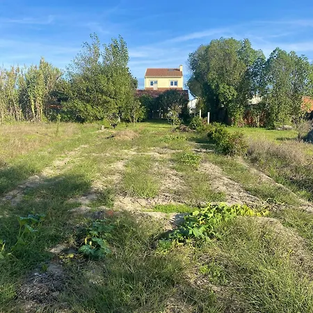 Welcoming House With Terrace And Garden In Barra De Mira * Areao
