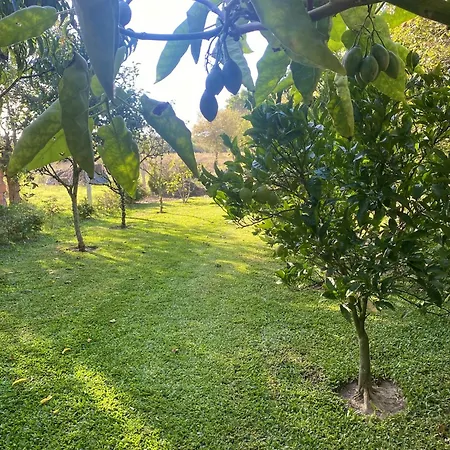 Welcoming House With Terrace And Garden In Barra De Mira