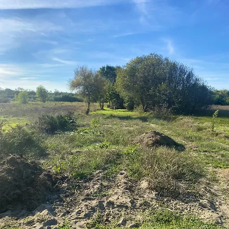 Welcoming House With Terrace And Garden In Barra De Mira Holiday home *