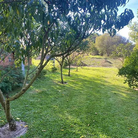 Welcoming House With Terrace And Garden In Barra De Mira * Areao