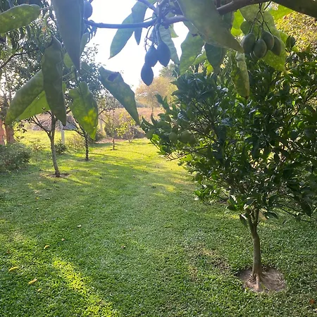 Semesterbostad Welcoming House With Terrace And Garden In Barra De Mira Areao