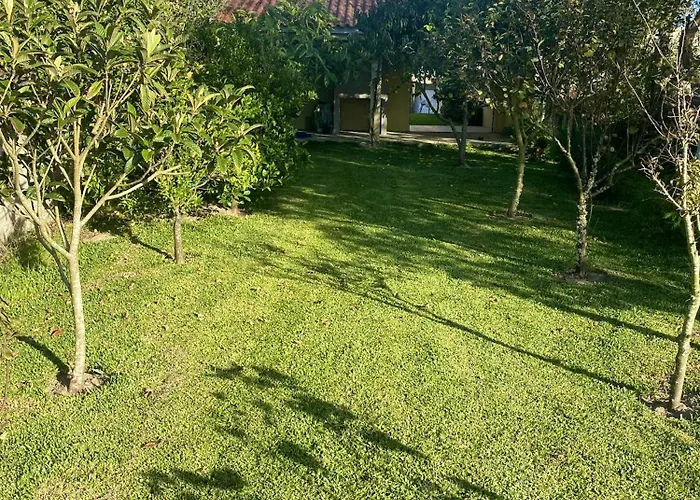 Welcoming House With Terrace And Garden In Barra De Mira *