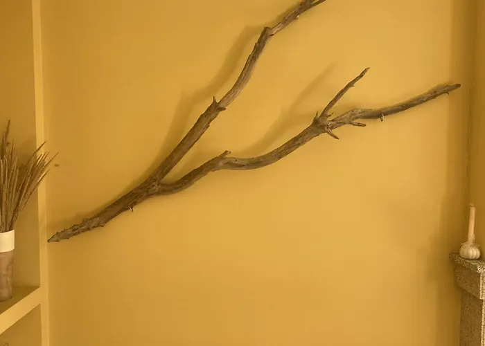 Welcoming House With Terrace And Garden In Barra De Mira Areao