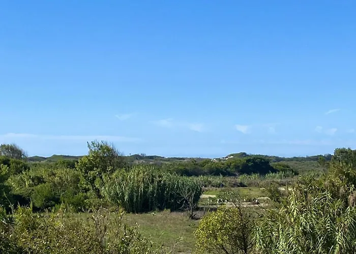 Welcoming House With Terrace And Garden In Barra De Mira Areao