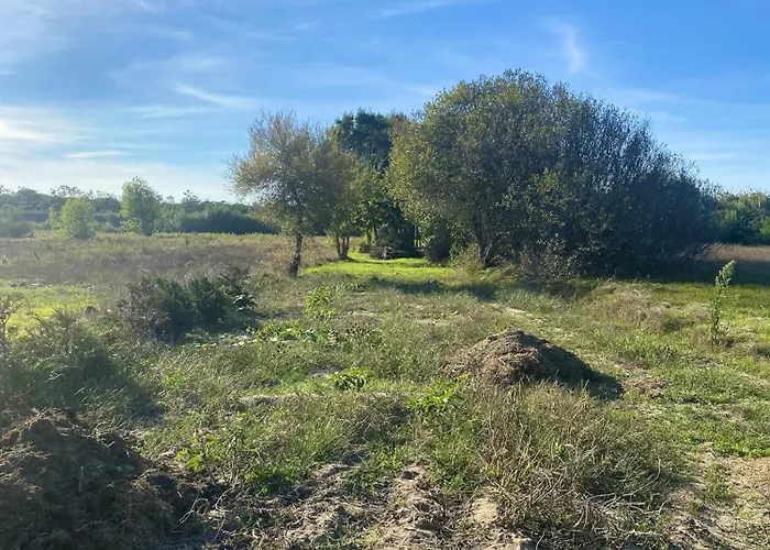 Welcoming House With Terrace And Garden In Barra De Mira Prázdninový dům *